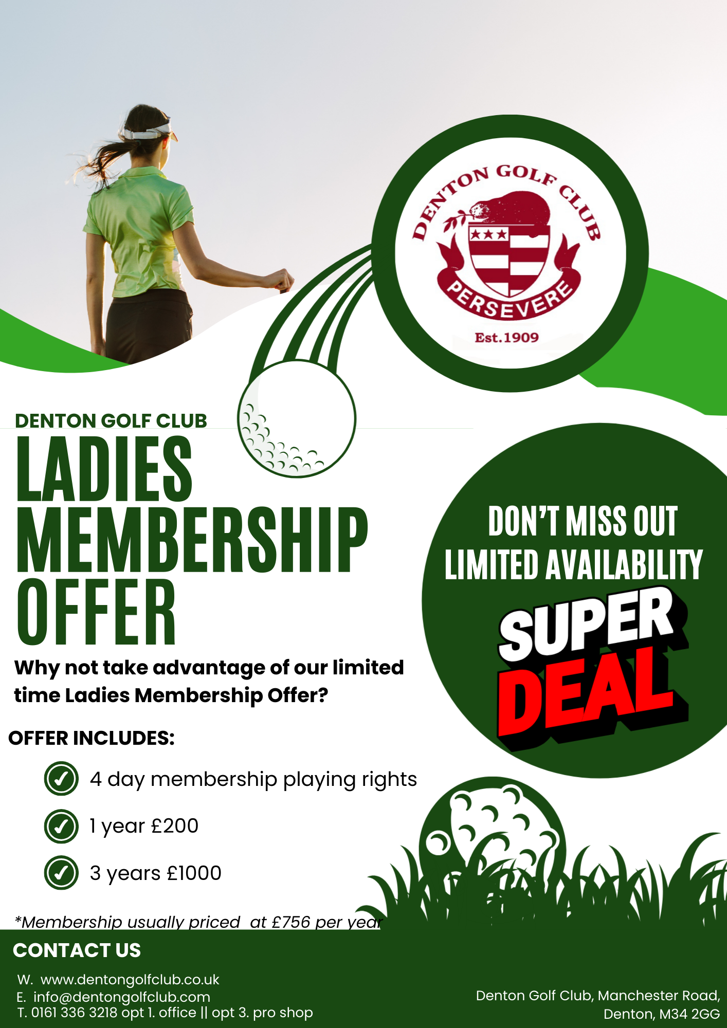 White And Green Modern Golf Lesson Flyer (52)